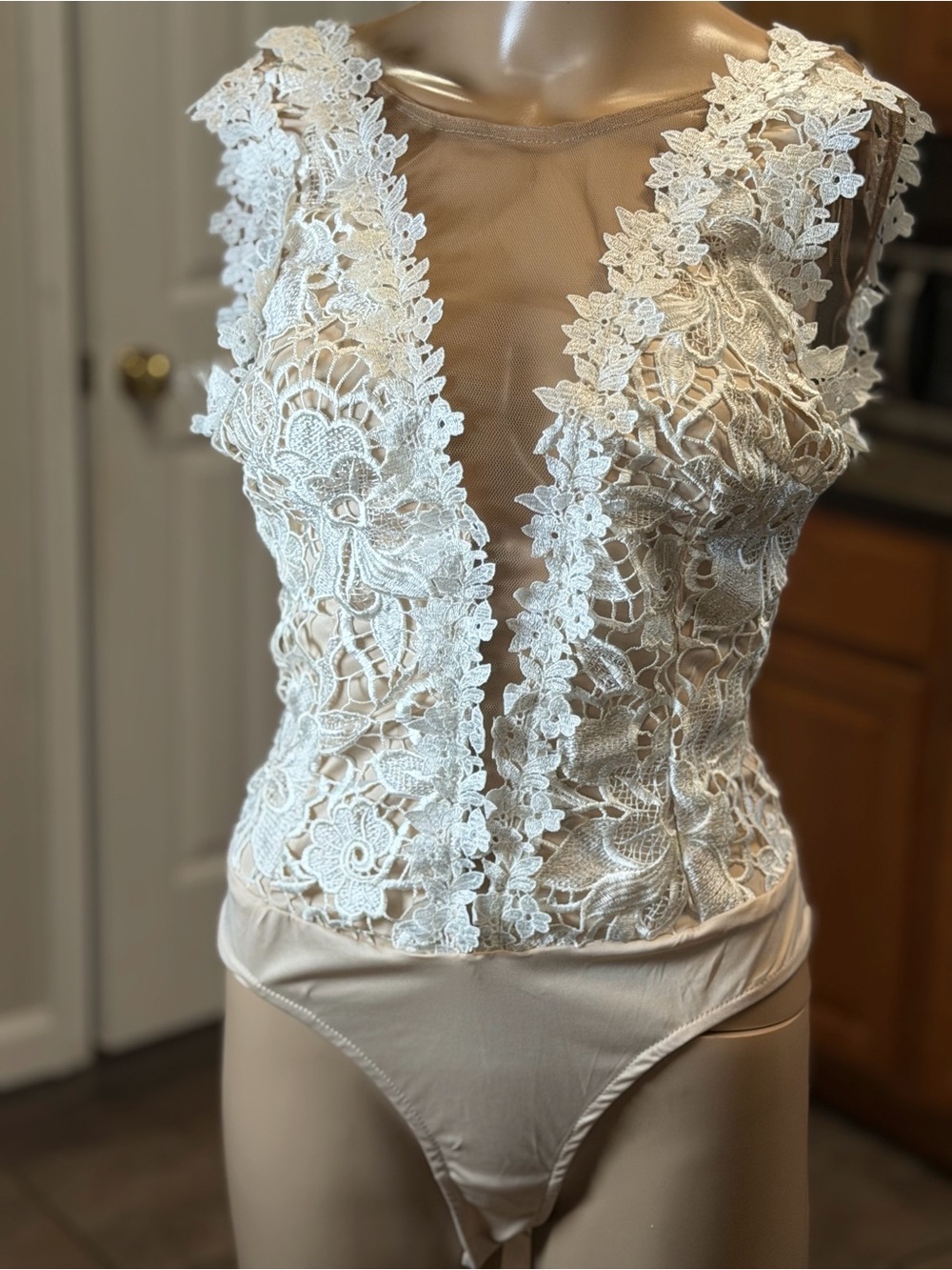 Sheer Lace Plunge Bodysuit in Ivory - Women's Bodysuit